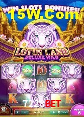 Recursos de Bônus 7228Bet